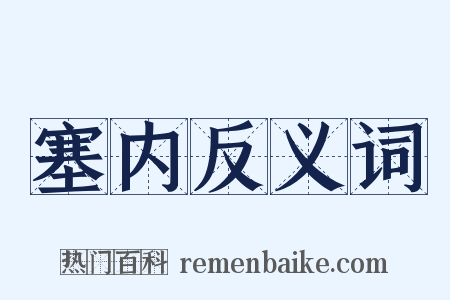 塞内反义词是什么意思的图片